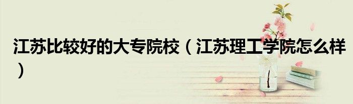 江苏比较好的大专院校（江苏理工学院怎么样）