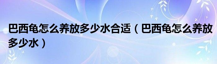 巴西龟怎么养放多少水合适（巴西龟怎么养放多少水）