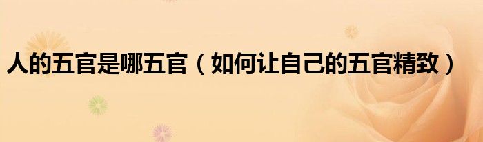 人的五官是哪五官（如何让自己的五官精致）