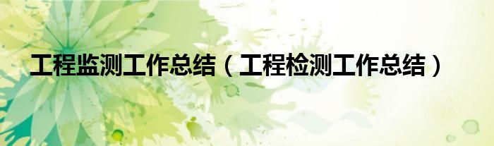 工程监测工作总结（工程检测工作总结）
