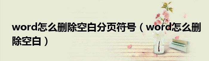 word怎么删除空白分页符号（word怎么删除空白）