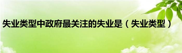 失业类型中政府最关注的失业是（失业类型）