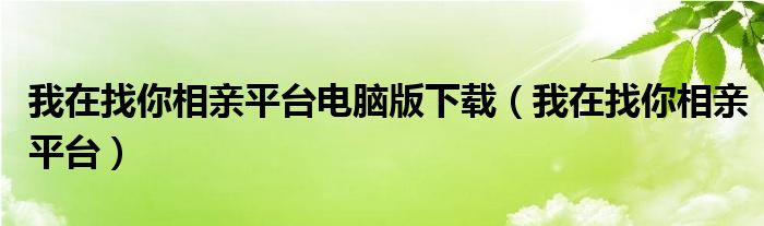 我在找你相亲平台电脑版下载（我在找你相亲平台）