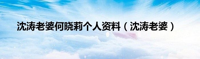 沈涛老婆何晓莉个人资料（沈涛老婆）