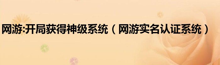 网游:开局获得神级系统（网游实名认证系统）