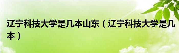 辽宁科技大学是几本山东（辽宁科技大学是几本）