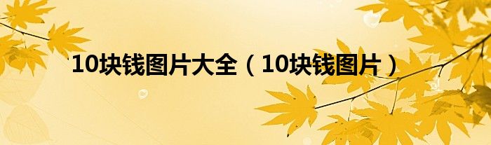 10块钱图片大全（10块钱图片）