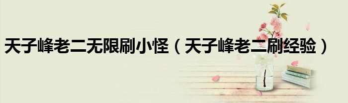 天子峰老二无限刷小怪（天子峰老二刷经验）