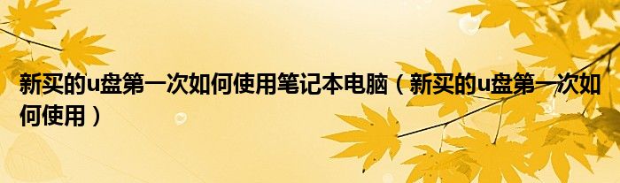 新买的u盘第一次如何使用笔记本电脑（新买的u盘第一次如何使用）