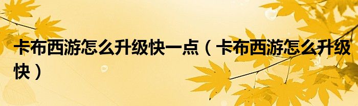 卡布西游怎么升级快一点（卡布西游怎么升级快）