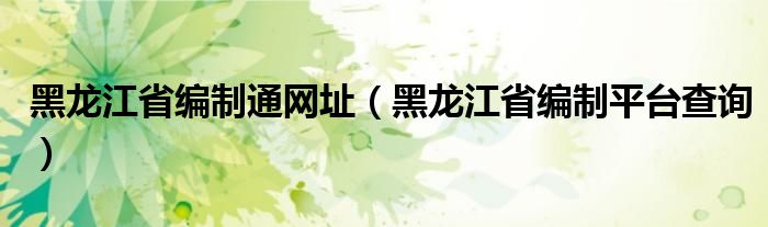 黑龙江省编制通网址（黑龙江省编制平台查询）