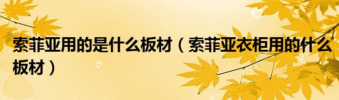 索菲亚用的是什么板材（索菲亚衣柜用的什么板材）