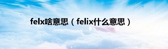 felx啥意思（felix什么意思）