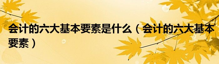 会计的六大基本要素是什么（会计的六大基本要素）