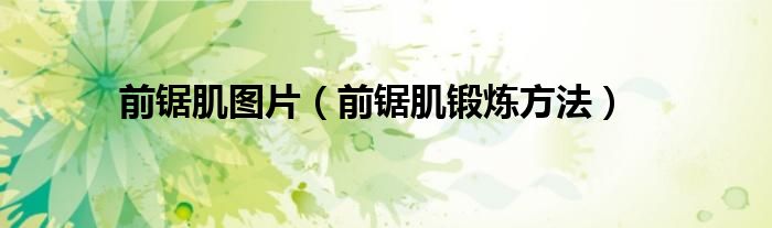 前锯肌图片（前锯肌锻炼方法）