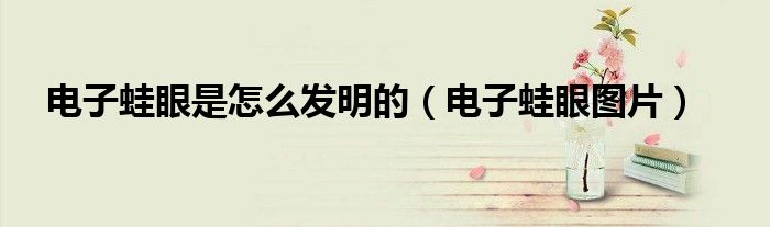电子蛙眼是怎么发明的（电子蛙眼图片）