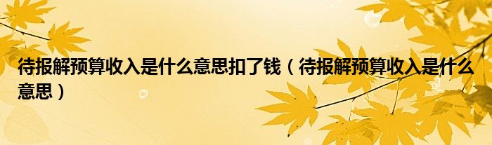 待报解预算收入是什么意思扣了钱（待报解预算收入是什么意思）