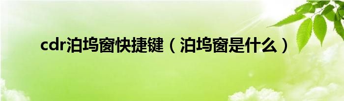 cdr泊坞窗快捷键（泊坞窗是什么）