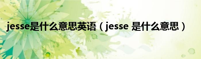 jesse是什么意思英语（jesse 是什么意思）