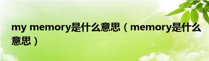 my memory是什么意思（memory是什么意思）