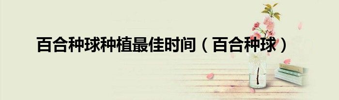 百合种球种植最佳时间（百合种球）