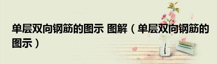单层双向钢筋的图示 图解（单层双向钢筋的图示）