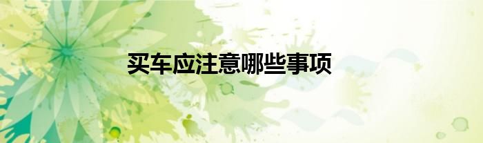 买车应注意哪些事项