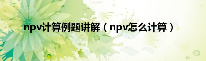 npv计算例题讲解（npv怎么计算）