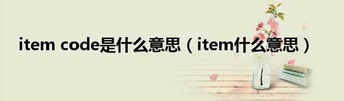 item code是什么意思（item什么意思）