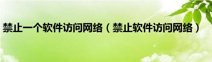 禁止一个软件访问网络（禁止软件访问网络）