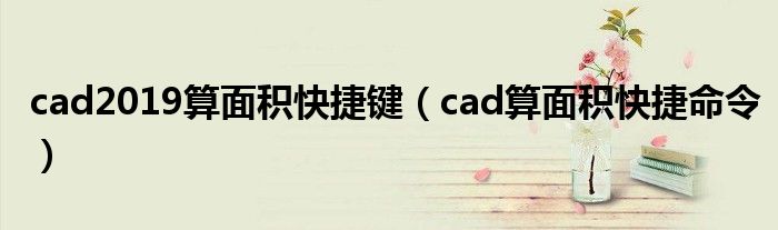 cad2019算面积快捷键（cad算面积快捷命令）