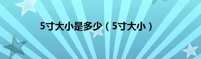 5寸大小是多少（5寸大小）