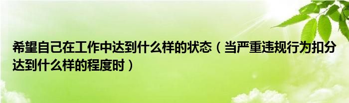希望自己在工作中达到什么样的状态（当严重违规行为扣分达到什么样的程度时）