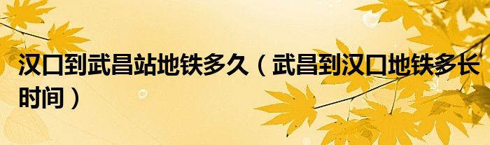 汉口到武昌站地铁多久（武昌到汉口地铁多长时间）
