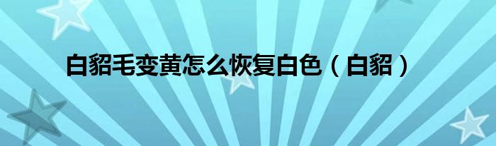 白貂毛变黄怎么恢复白色（白貂）