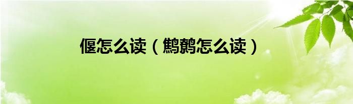 偃怎么读（鹪鹩怎么读）