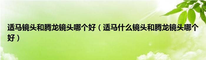 适马镜头和腾龙镜头哪个好（适马什么镜头和腾龙镜头哪个好）