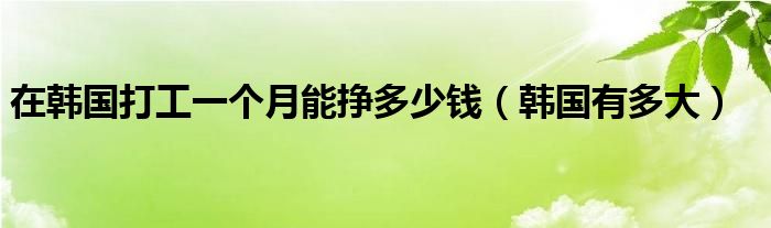在韩国打工一个月能挣多少钱（韩国有多大）