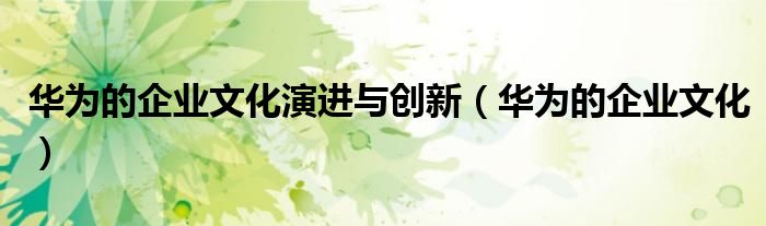 华为的企业文化演进与创新（华为的企业文化）