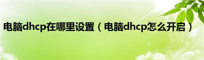 电脑dhcp在哪里设置（电脑dhcp怎么开启）