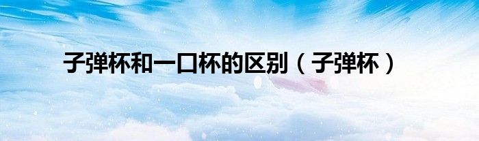 子弹杯和一口杯的区别（子弹杯）