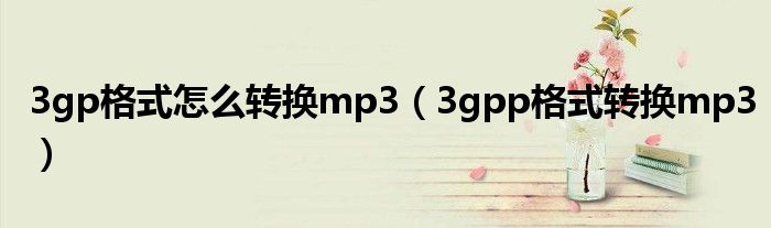 3gp格式怎么转换mp3（3gpp格式转换mp3）