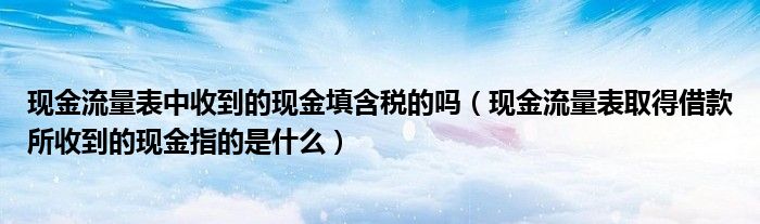 现金流量表中收到的现金填含税的吗（现金流量表取得借款所收到的现金指的是什么）