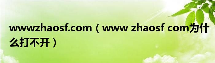wwwzhaosf.com（www zhaosf com为什么打不开）