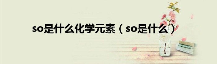 so是什么化学元素（so是什么）