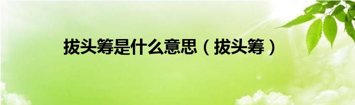 拔头筹是什么意思（拔头筹）