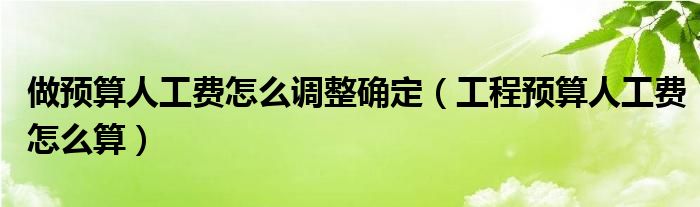 做预算人工费怎么调整确定（工程预算人工费怎么算）