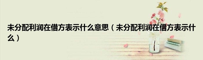 未分配利润在借方表示什么意思（未分配利润在借方表示什么）