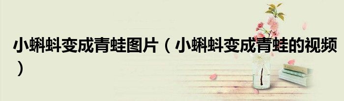 小蝌蚪变成青蛙图片（小蝌蚪变成青蛙的视频）