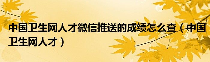 中国卫生网人才微信推送的成绩怎么查（中国卫生网人才）
